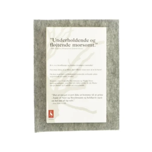 Michael Laudrups tænder en korrespondance (bog)