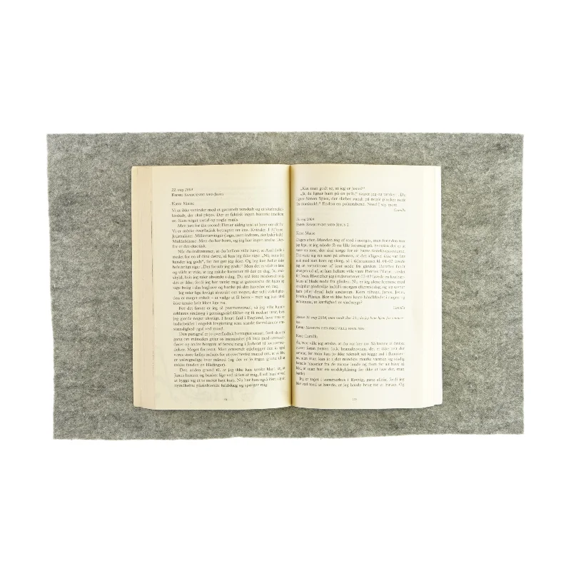 Michael Laudrups tænder en korrespondance (bog)