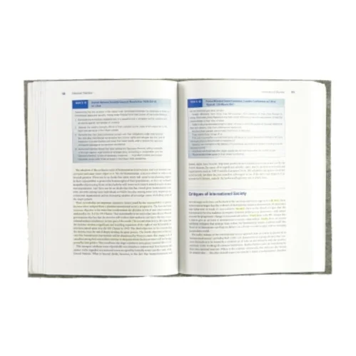 Introduction to international relations (bog)