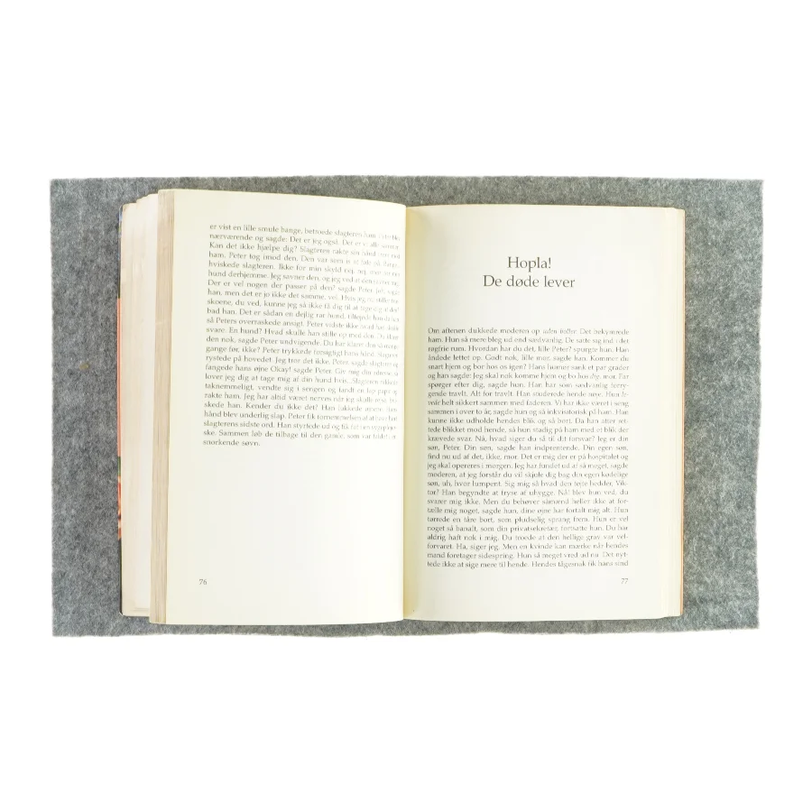 Langt fra gråbrødre torv af John Nehm (bog)