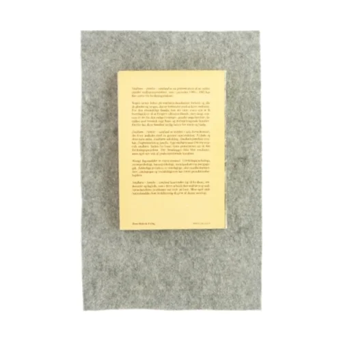 Småbørn, familie, samfund (bog)