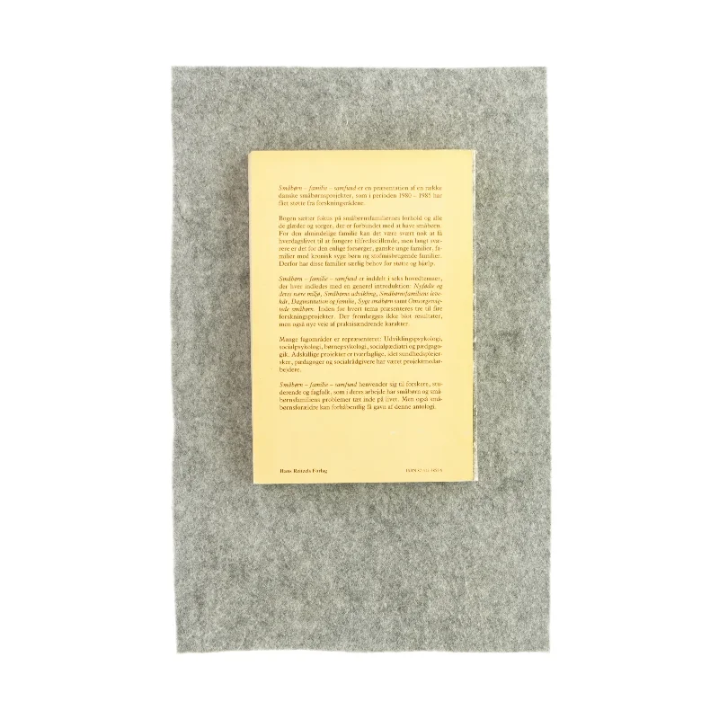 Småbørn, familie, samfund (bog)