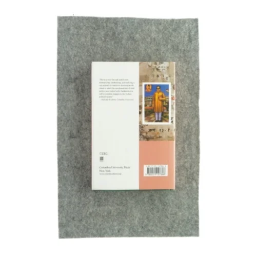 India's silent revolution af christophe Jaffrelot (bog)