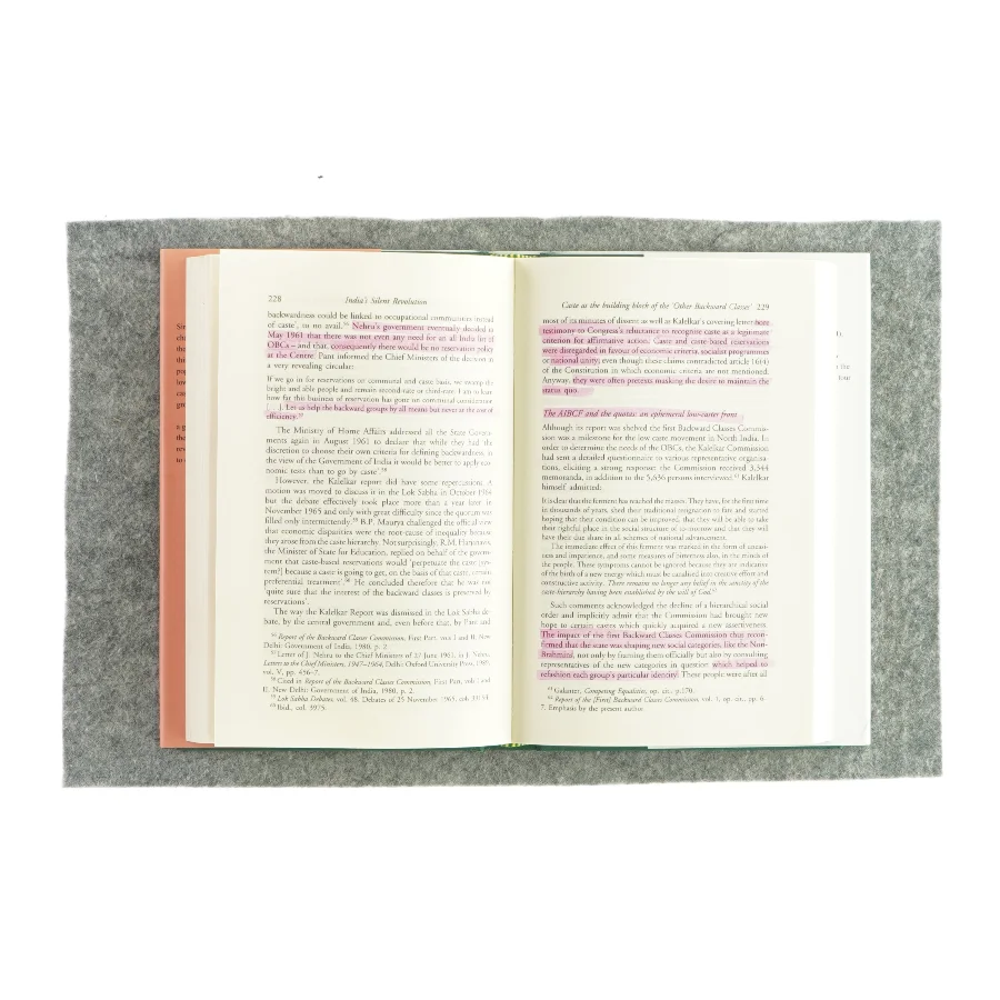 India's silent revolution af christophe Jaffrelot (bog)