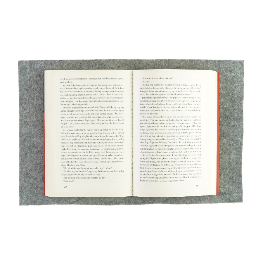 Don Juans hemmelige dagbog af Douglas Carlton Abrams (Bog)