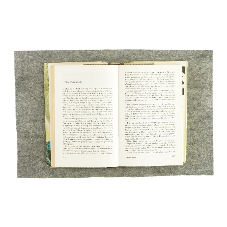 Dødens dagbog af Hillary Waugh (bog)