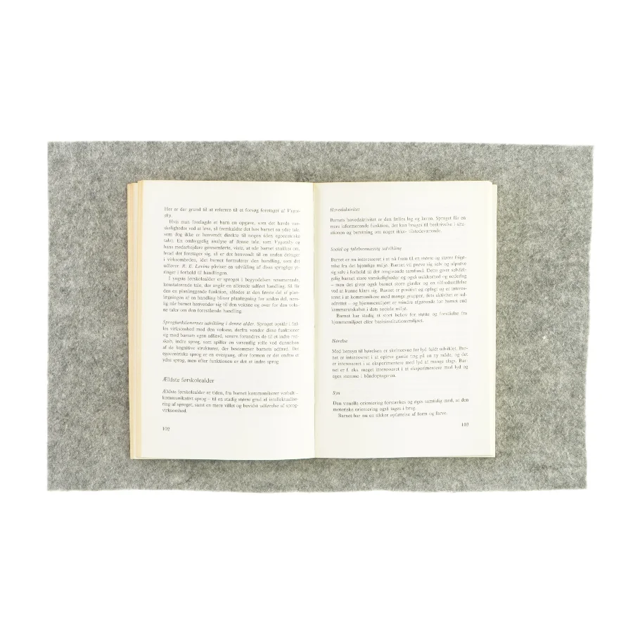 At tale sammen med børn (bog) 