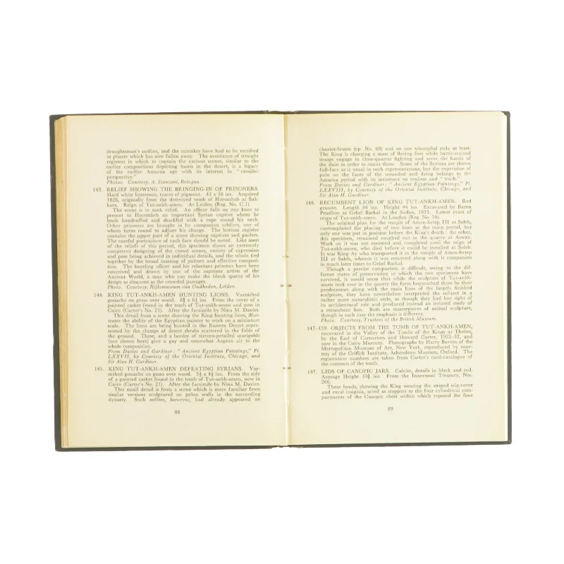 New kingdom art in ancient Egypt (bog)