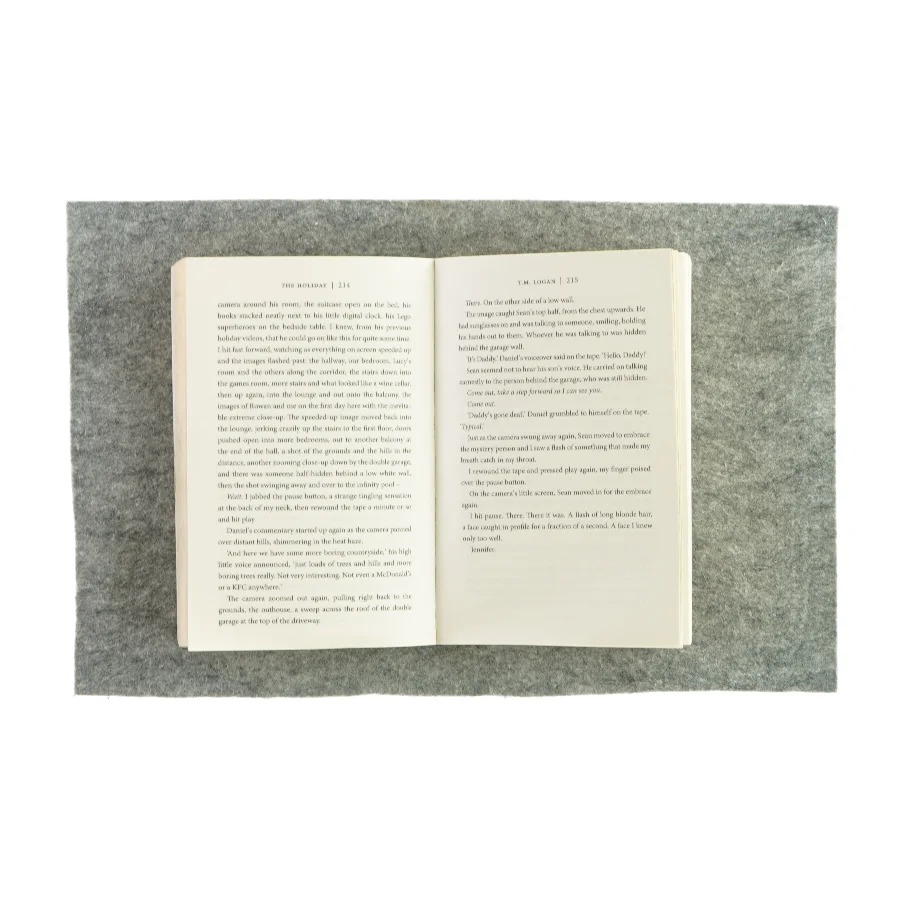 The holliday af T.M. Logan (bog)