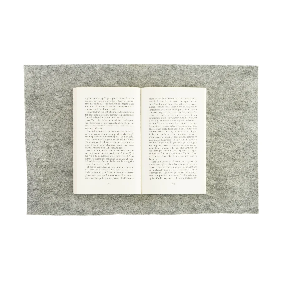 Ferdydurke af Witold Gombrowicz (bog) 