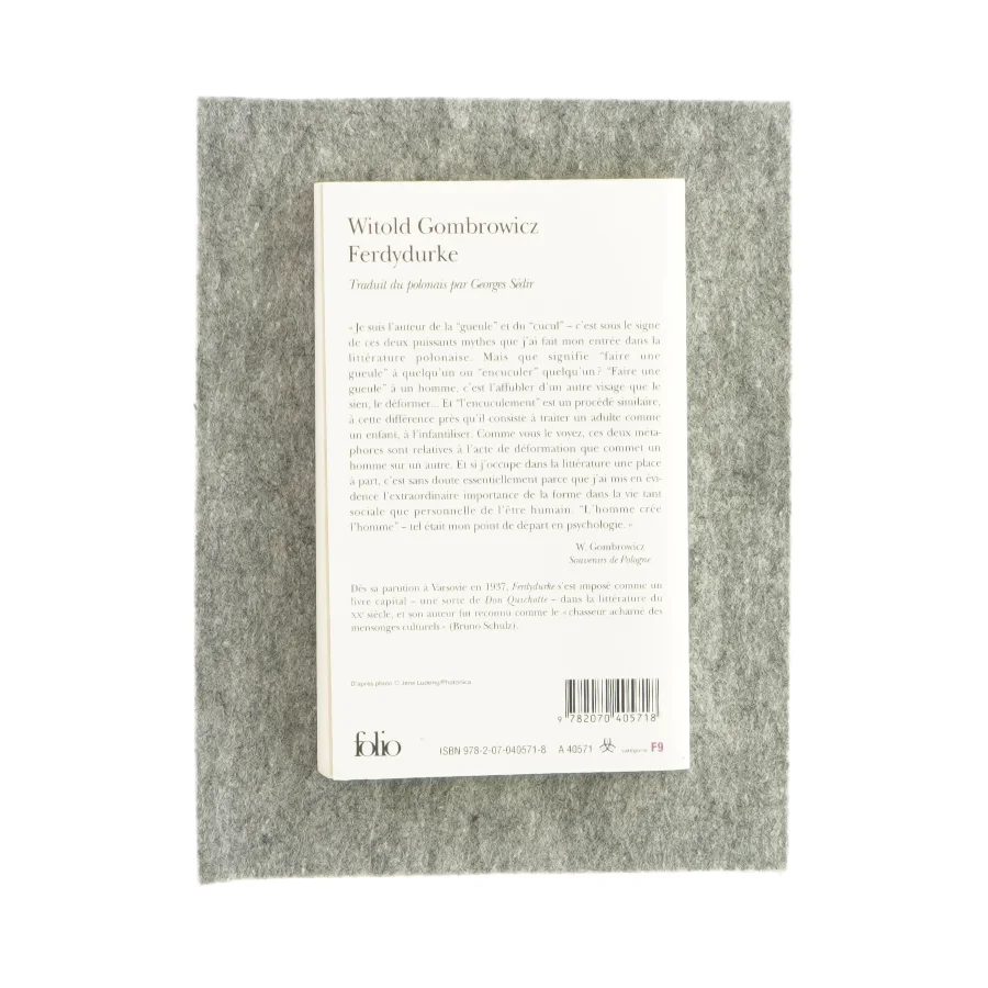 Ferdydurke af Witold Gombrowicz (bog) 