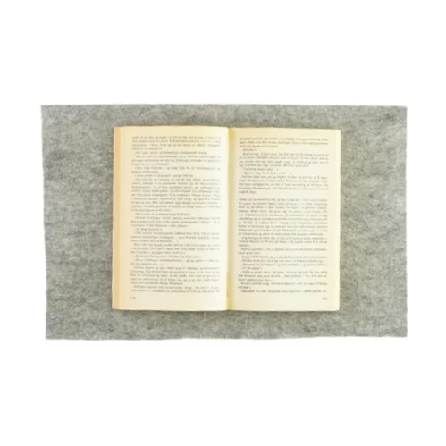 Skæbne skibet af Colin Forbes (Bog)