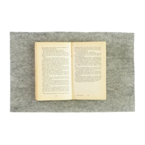 Den tredje passager af Caroline Crane (Bog)