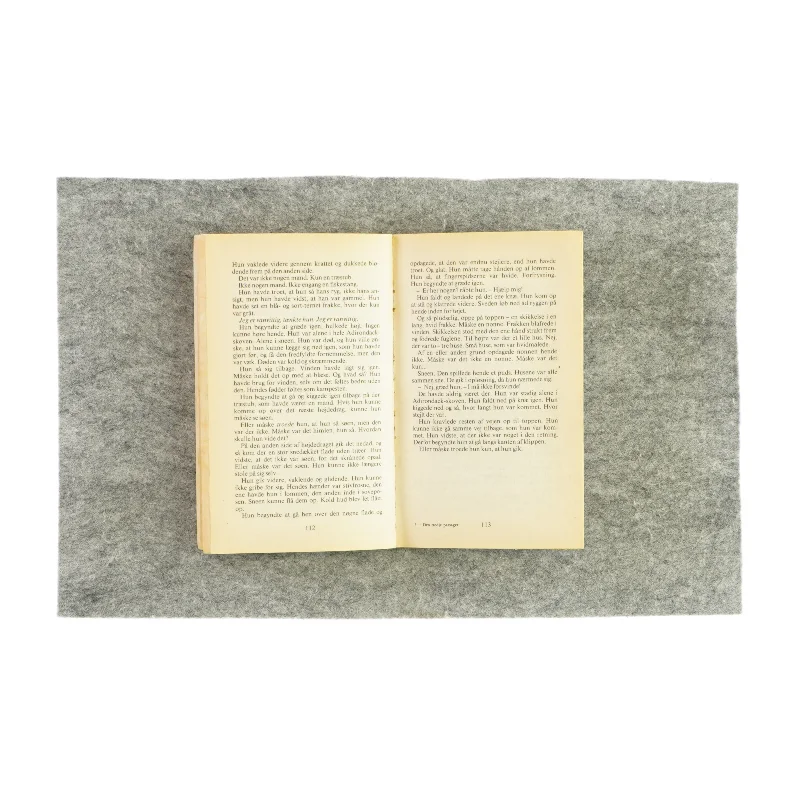 Den tredje passager af Caroline Crane (Bog)