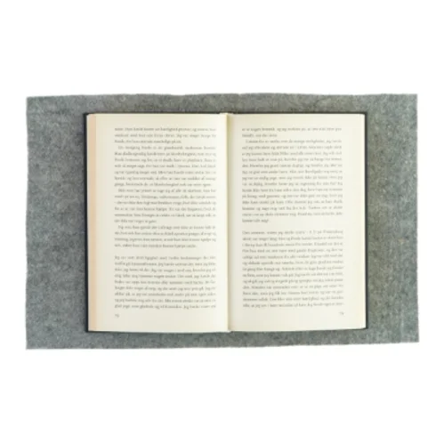 Den 13. af Maria Hirse (Bog)