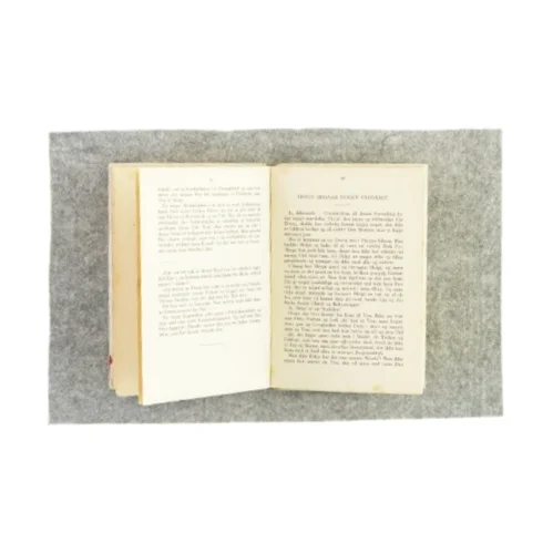 Dubletterne af Henry Dahl (bog)