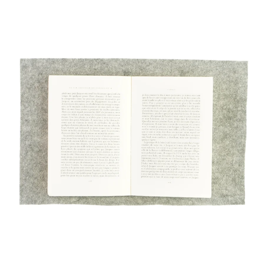 La vie sexuelle af Catherine Millet (bog)