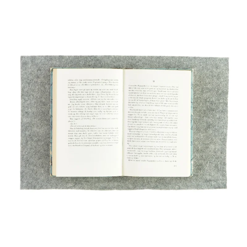 Orkanen af Desmond Bagley (bog)