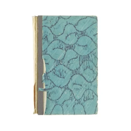 Orkanen af Desmond Bagley (bog)