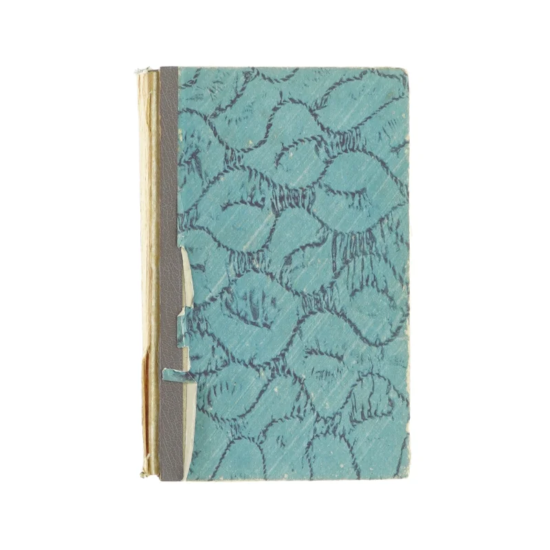 Orkanen af Desmond Bagley (bog)