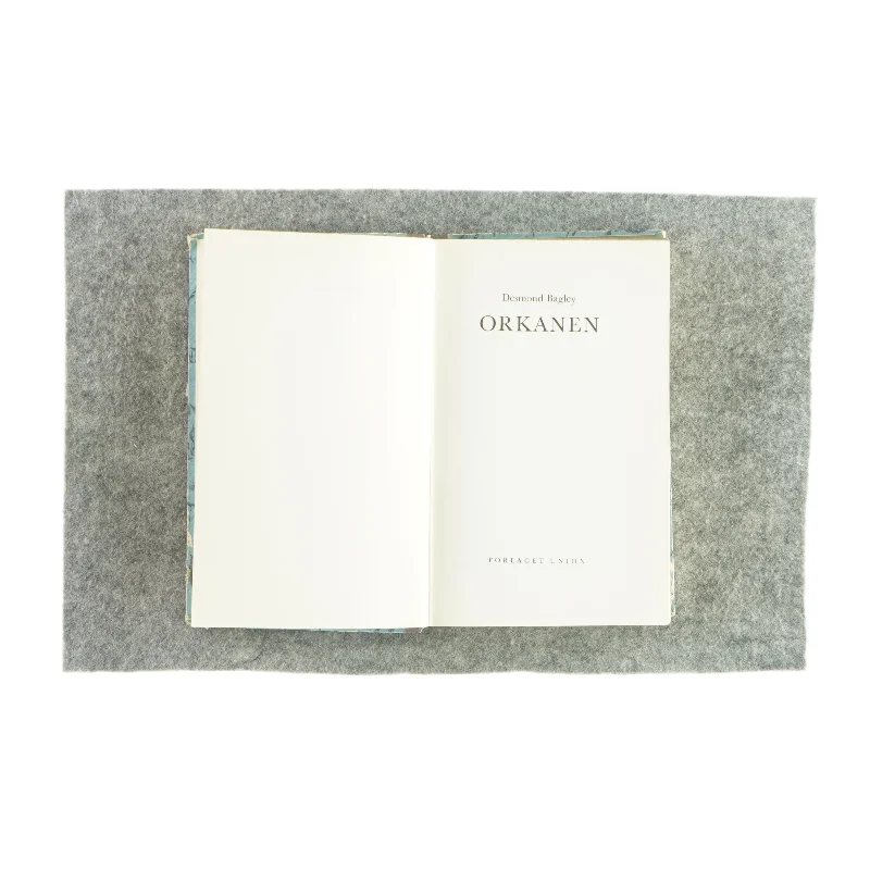 Orkanen af Desmond Bagley (bog)