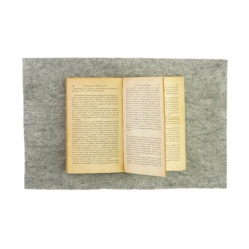 The business of management af Roger Falk (Bog)