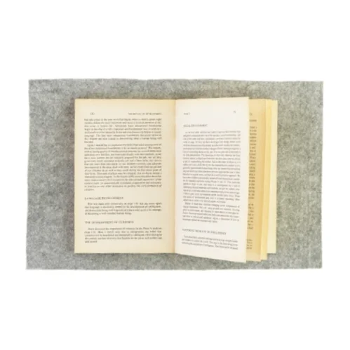 The first three years of life af Burton L. White (bog)