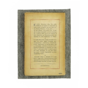 Økonomisk ordbog fra Gyldendal (Bog)