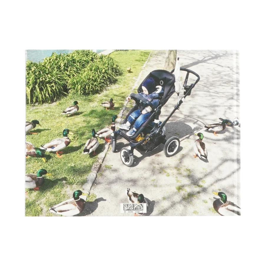 Ejvind billedbog 2016 