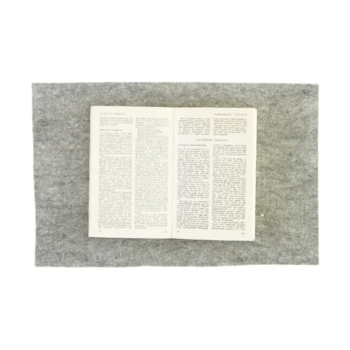 Sesam 8 - geografi, geologi, astronomi og meteorologi (bog)