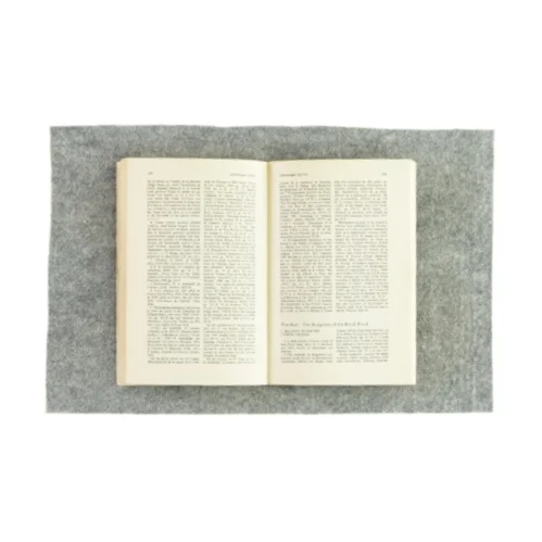 The sculptural programs of chartres cathedral af Adolf Katzenellenbogen (Bog)