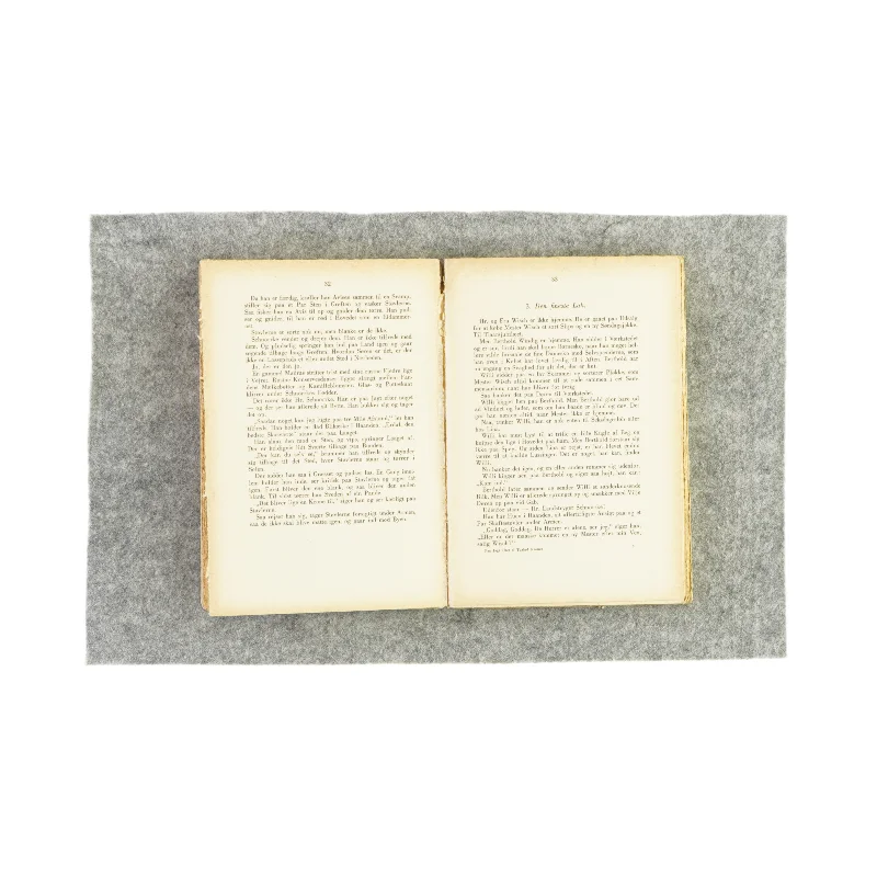 På jagt efter 10.000 kroner af Get Fauth (bog)