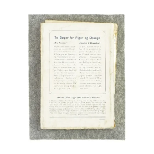 På jagt efter 10.000 kroner af Get Fauth (bog)