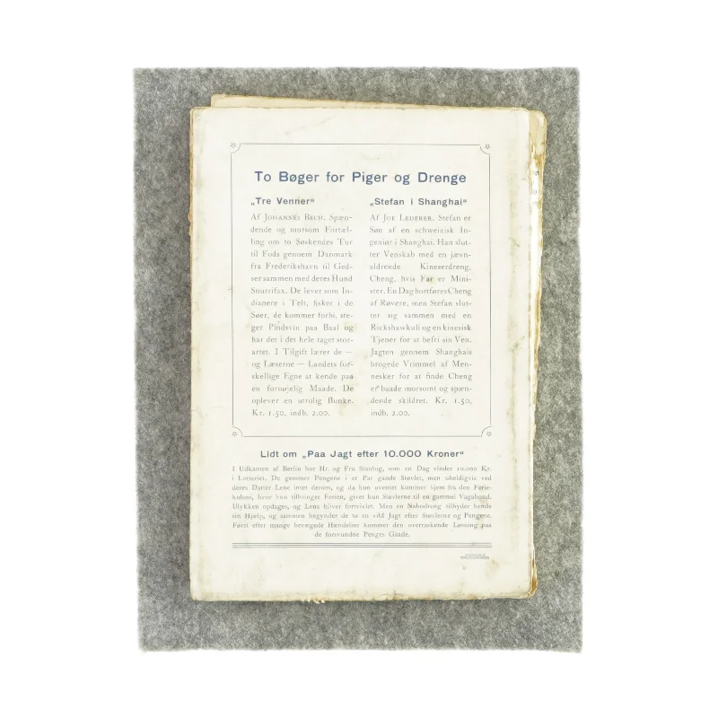 På jagt efter 10.000 kroner af Get Fauth (bog)