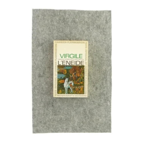 Virgilde léneide (bog)