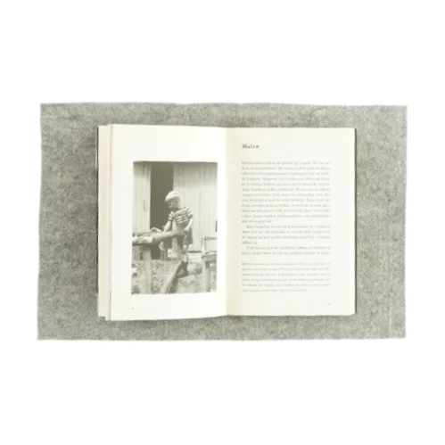 Rejse i erindringen af Henrik Sten Møller (Bog)