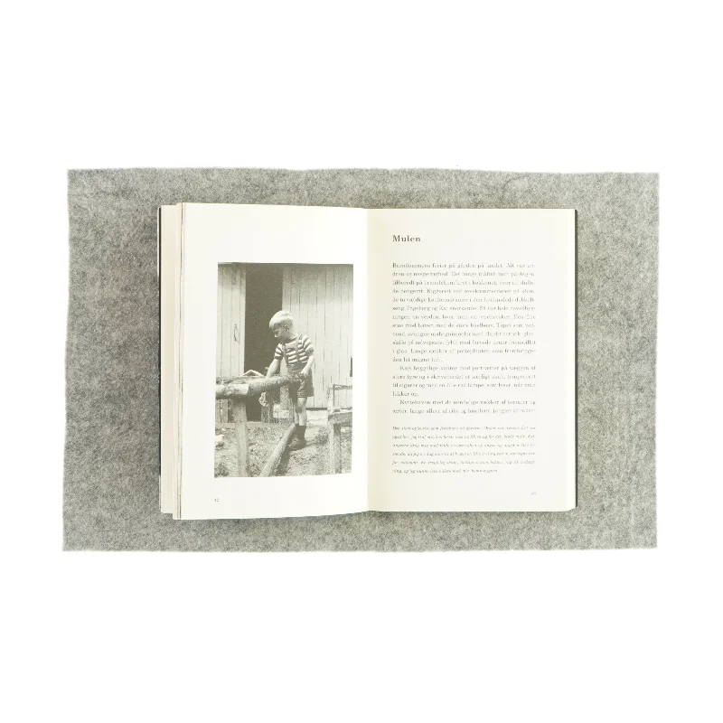 Rejse i erindringen af Henrik Sten Møller (Bog)