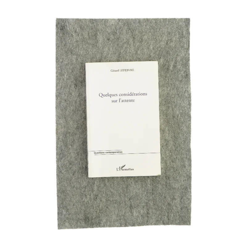 Quelques considérations sur l'attente (bog) 