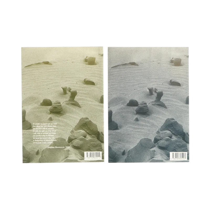 Individuelle undervisningsplaner, bind 1 og 2 (bog)