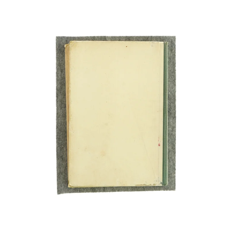 Geografi for mellem- og realskolen af C. C. Christensen (Bog)