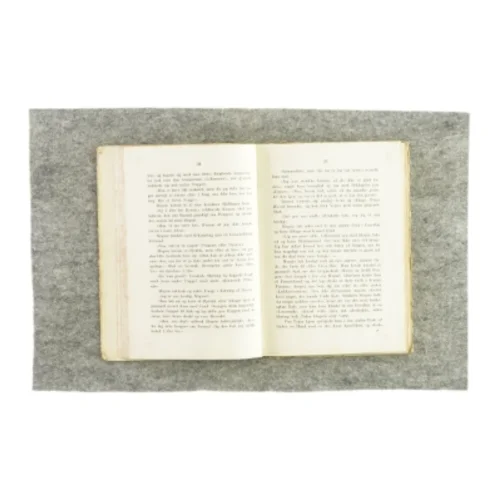 Mor Vics stamgæster (bog)