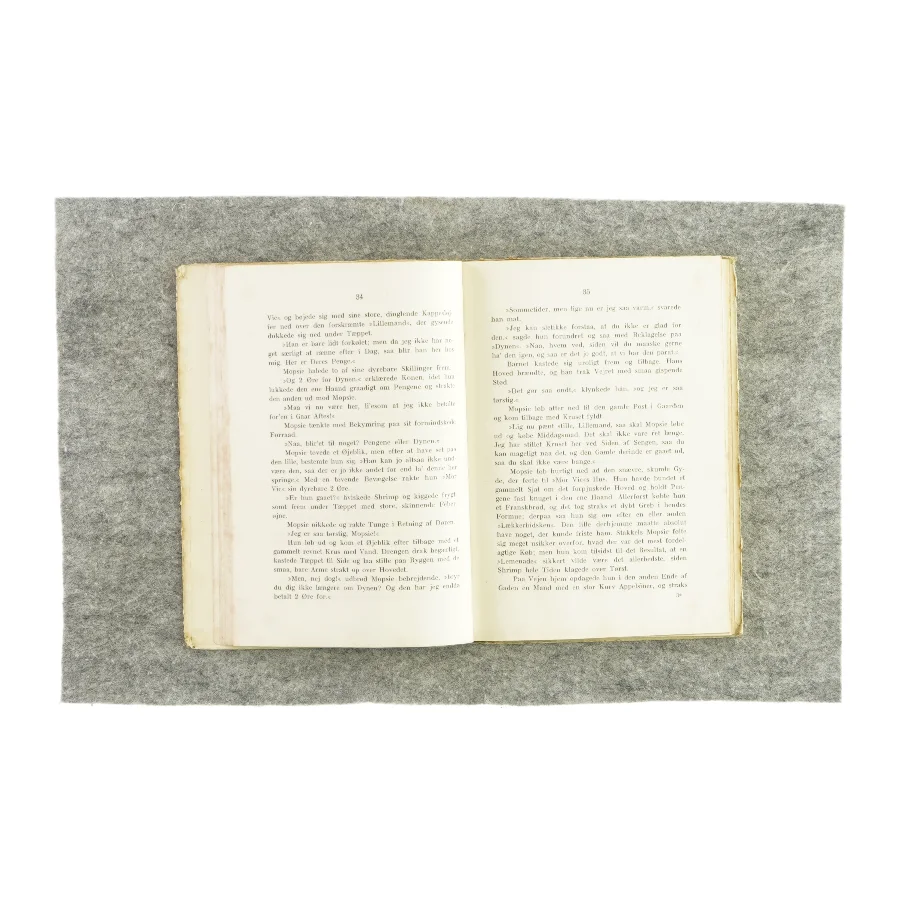 Mor Vics stamgæster (bog)