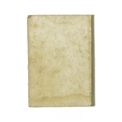 Mor Vics stamgæster (bog)