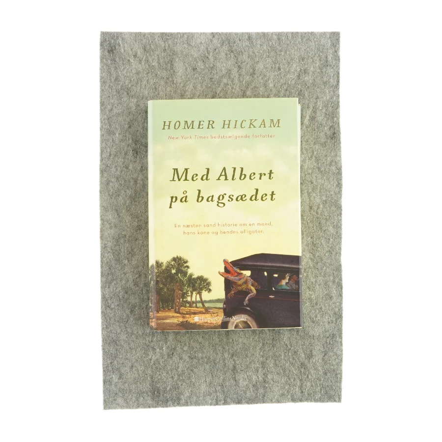 Med Albert på bagsædet af Homer Hickam (bog)