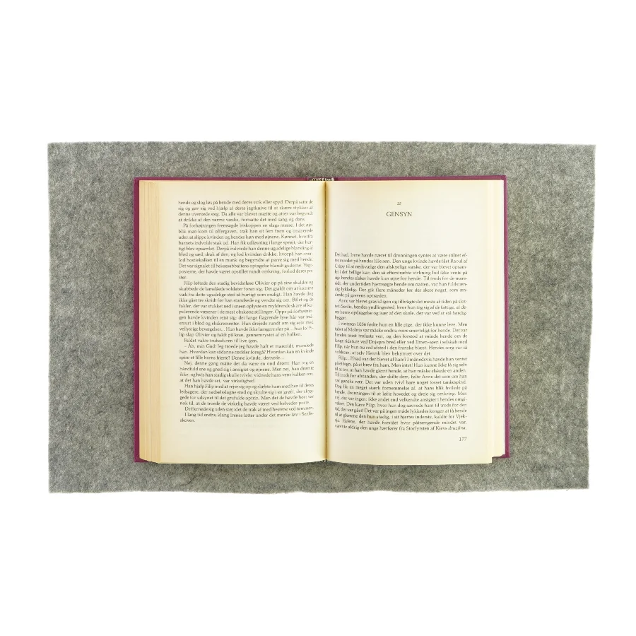 Under novgorods himmel af Régine Deforges (Bog)