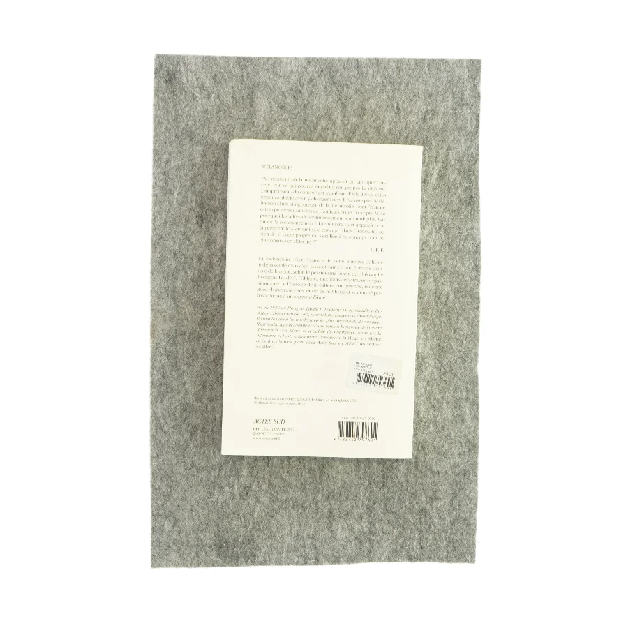 Mélancolie af László E. Földényi (bog) 