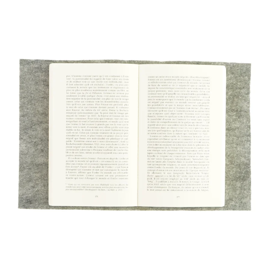 Mélancolie af László E. Földényi (bog) 