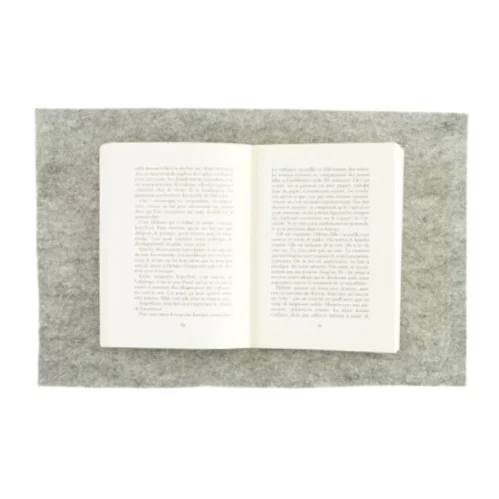 Viviane Élisabeth Fauville (bog) 