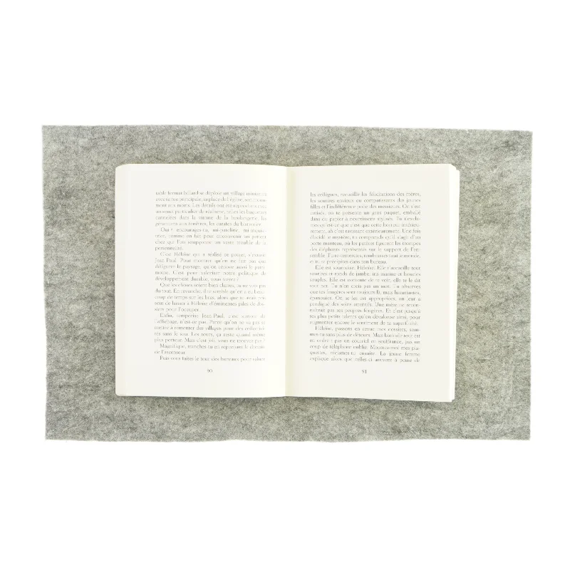 Viviane Élisabeth Fauville (bog) 