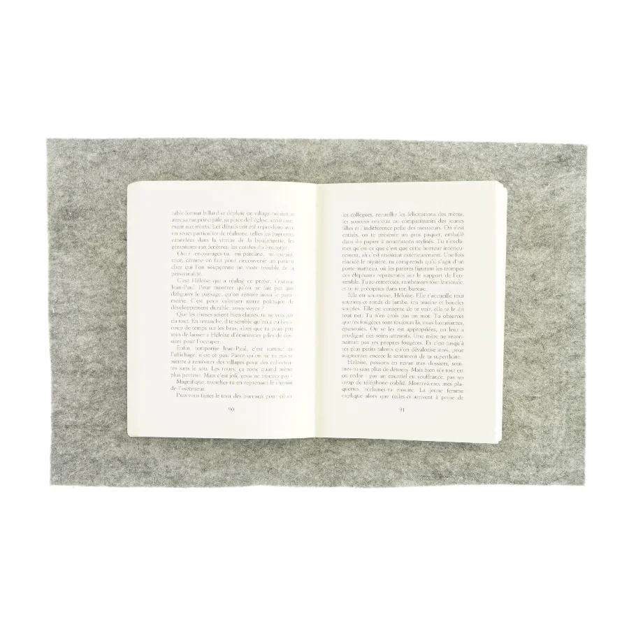 Viviane Élisabeth Fauville (bog) 